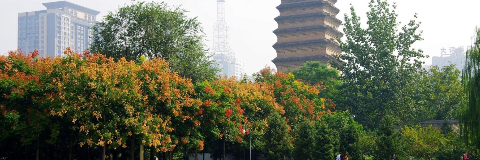 Pequeña pagoda del ganso salvaje